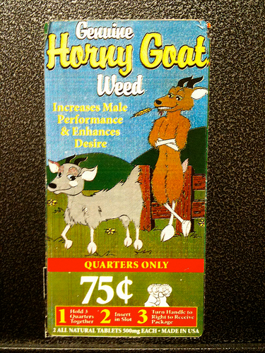 Illustration for article titled Is horny goat weed extract really a sexual stimulant?